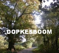 Afbeelding invoegen